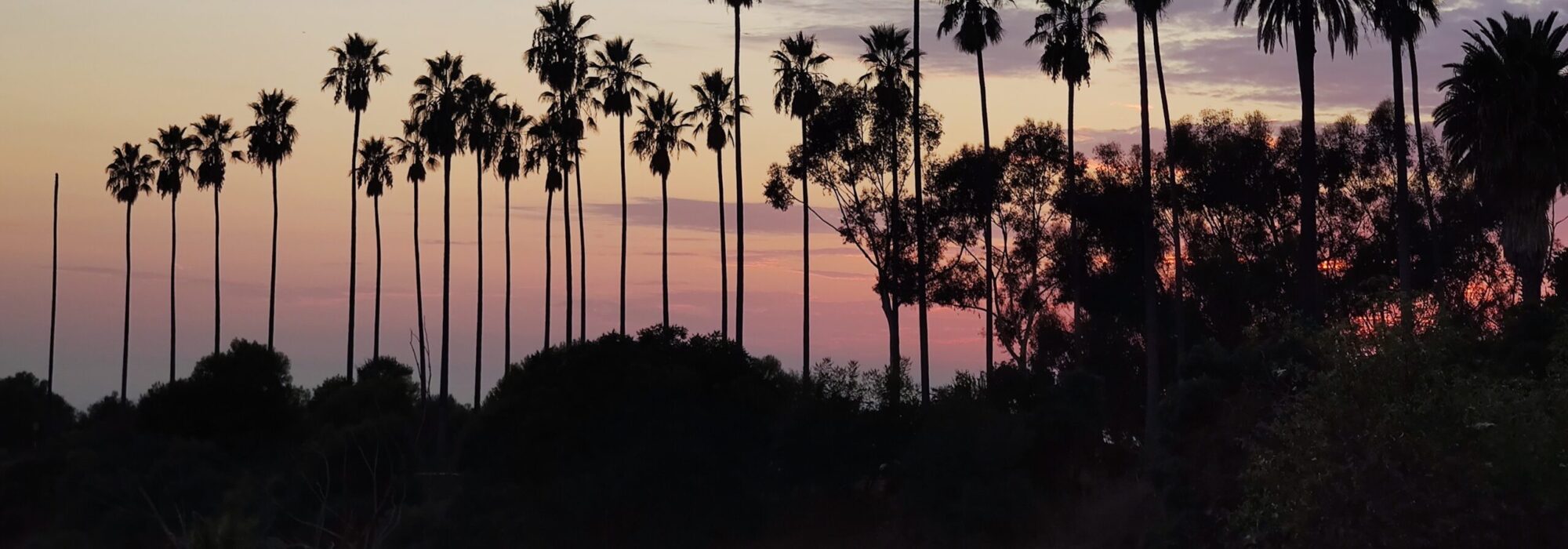 Sonnenuntergang im Elysian Park in Los Angeles